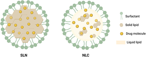 Figure 1 Schematic representation of an SLN and an NLC. Created with Biorender.com.
