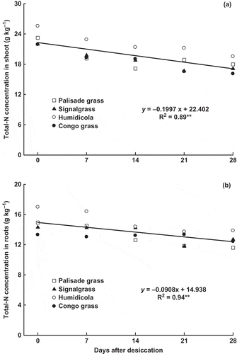 Figure 2 Total nitrogen (Total-N) concentration in (a) shoot and (b) roots of brachiaria grasses as affected by time after desiccation with glyphosate (mean of four species: palisade grass (Brachiaria brizantha (Hochst. ex A. Rich) Stapf), signalgrass (Brachiaria decumbens Stapf), humidicola (Brachiaria humidicola (Rendle) Schweick) and Congo grass (Brachiaria ruziziensis Germain et Evrard)). ** = significant (F test, P > 0.01).