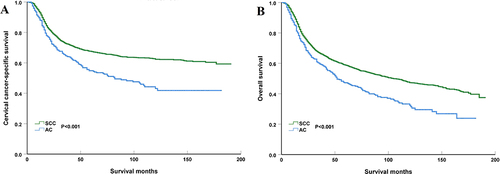 Figure 2 Comparison of cause-specific survival (A) and overall survival (B) between cervical squamous cell carcinoma (SCC) and adenocarcinoma (AC) before propensity score matching.