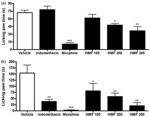 Figure 2. Effect of different doses of oral HMF on first (a) and second (b) phases of the formalin test in mice. Vehicle, indomethacin 10 mg/kg, and HMF 100, 200, and 300 mg/kg were administered orally while morphine 7.5 mg/kg was administered intraperitoneally 60 and 30 min, respectively, before formalin injection. The licking paw time was counted for 5 min after formalin injection. The values of each column represent the mean ± SEM. ANOVA followed by the Newman–Keuls test, used as post hoc. Significant values: ***p < 0.001, **p < 0.01, and *p < 0.05 compared with vehicle.