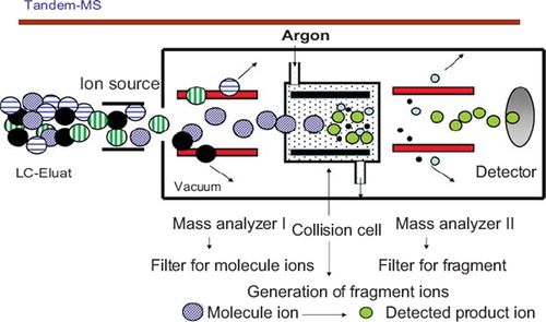 Figure 1. Schematic drawing of tandem-mass spectrometry.