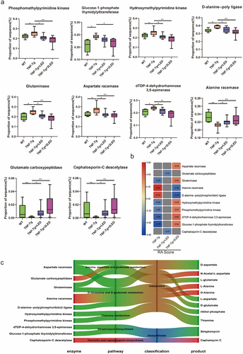 Figure 7. RA related metabolic enzymes, pathways and metabolites of gut microbiota changed in the mice. (a) Each box plot indicates the mean proportion of sequences assigned to the metabolic enzymes in each group-values by White’s nonparametric t-test, Storey FDR correction. (b) Integrated correlation-based analysis of metabolic enzymes in five pathways and RA Score. Pearson’s correlation analysis from the in the three groups. (c) The Sankey diagram shows the correction among the enzyme, pathway, classification and products after the 630 nm LED irradiation.