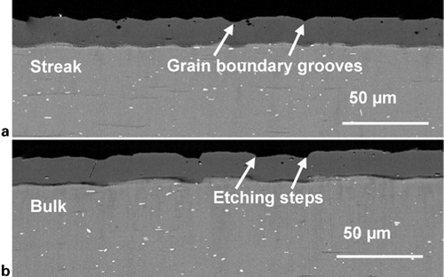 Figure 5. Backscattered electron micrographs of cross-section of anodic film attached to alloy substrate