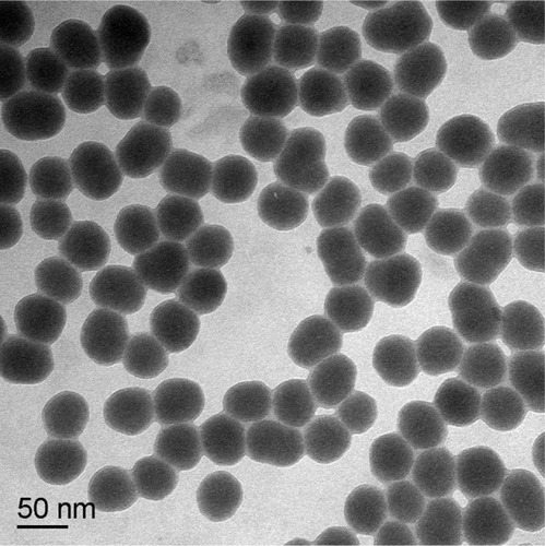 Figure 1 Transmission electron microscopic image of 53 nm amorphous silica nanoparticles.