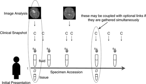 Fig. 1.  A human subject has a disease condition affecting an internal organ that may be directly sampled at risk higher than sampling of fluids such as serum. The fluids may have microvesicles whose analysis may shed light when aggregated to other clinical, laboratory and imaging information on the status of the internal organ. The goal is to develop improved inferential models of the state of the internal organ from fluid microvesicle analysis, and use that model better to guide therapy.