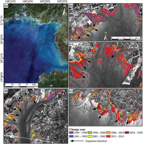 Figure 10. Spatio-temporal characteristics of mangrove forests in Beibu Gulf: (a) Beibu Gulf; (b) Zhenzhu Bay; (c) Maowei Sea; (d) Tieshan Port; and (e) Beihai Sea.