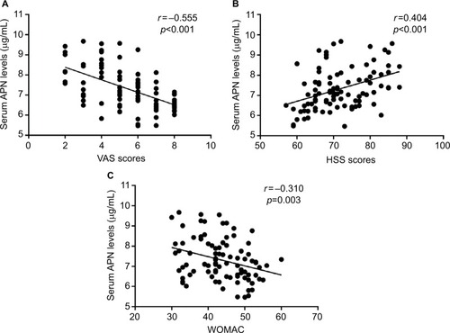 Figure 4 Correlation of serum APN levels with clinical severity determined by VAS scores (A), HSSs, (B) and WOMAC scores (C).