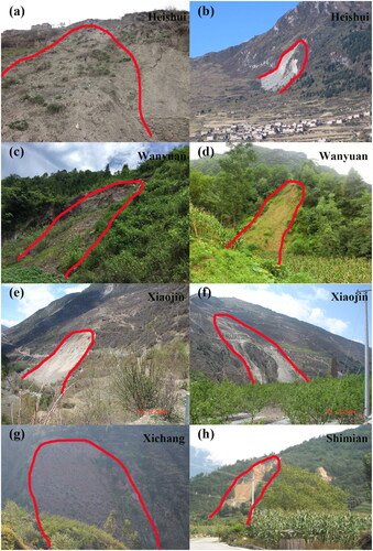 Figure 5. Photographs of landslides in the study area.