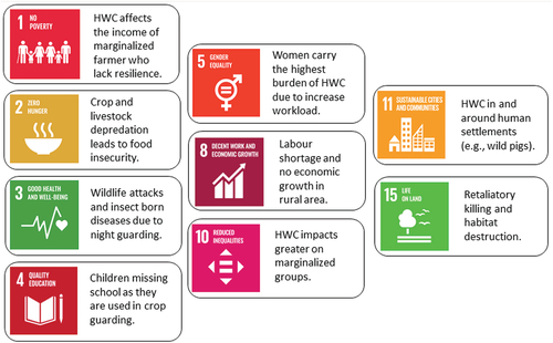 Figure 6. Illustration of how HWC hinders the achievement of sustainable development goals in subsistence livelihood context in landscapes impacted by HWC.