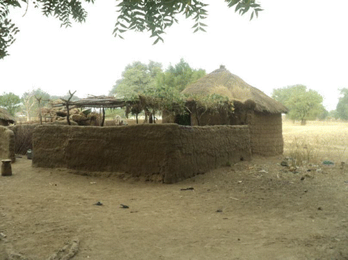 Figure 2 Typical rural house in the Logone Valley (Cameroonian side).