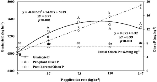 Figure 1. Relationship between phosphorus (P) application rate, Olsen P and grain yield at harvest for malt barley during the 2015 and 2016 growing seasons for research conducted at the Aberdeen Research and Extension Center, Aberdeen, ID, USA. Small letters indicate significant differences between pre-plant and post-harvest Olsen P at various P rates as compared using Tukey’s protected honest significant difference (HSD) test at p < 0.05. Capital letters indicate significant differences among grain yield at various P rates as compared using Tukey’s protected honest significant difference (HSD) test at p < 0.05.