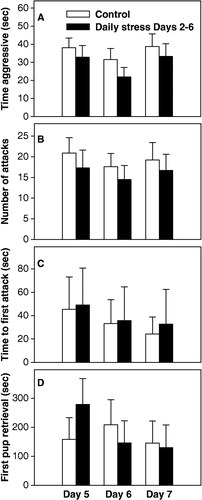 Figure 3 Analysis of maternal aggression and pup retrieval in controls and mice exposed to daily restraint stress. On neither Days 5, 6, or 7, were any differences between groups found for either (A) time aggressive; (B) number of attacks; (C) time to first attack; or (D) time to retrieve first pup. Bars represent means ± SE. White bars indicate control mice (n = 10) and black bars indicate daily stress mice (n = 10).