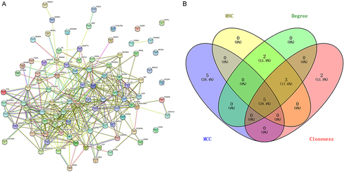 Figure 5 PPI analysis of immune-related key genes in sepsis. (A) PPI network of 93 immune-related key genes; (B) Venn diagram of hub genes.