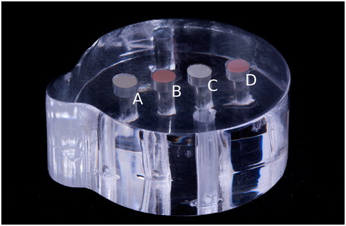 Figure 1. Cylinders (3 × 3 mm) of the experimental materials. (A) Ivotion-Dent, (B) Ivotion-Base, (C) Empress Direct and (D) IvoBase-Hybrid placed in custom-made transparent acrylic resin for toothbrush simulation after surface polishing.