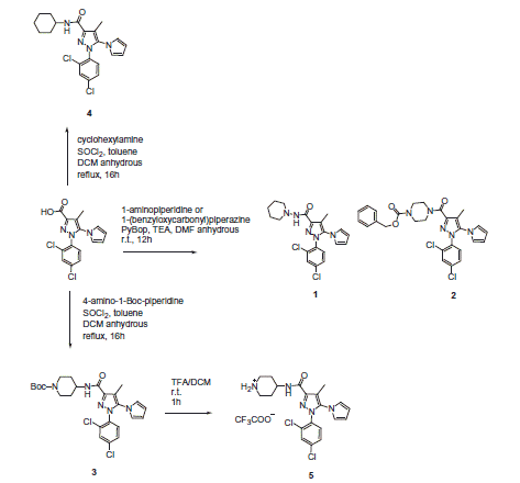 Scheme 1. Synthesized Rimonabant analogs.