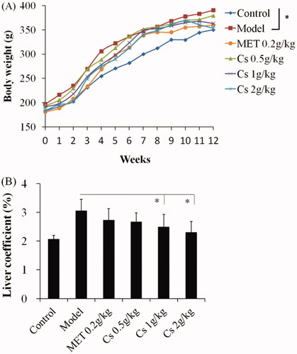 Figure 1. Effects of Cassia semen ethanol extract on body weight (A) and liver coefficient (B). *p < 0.05 vs. model group. Cs: Cassia semen, MET: Metformin.