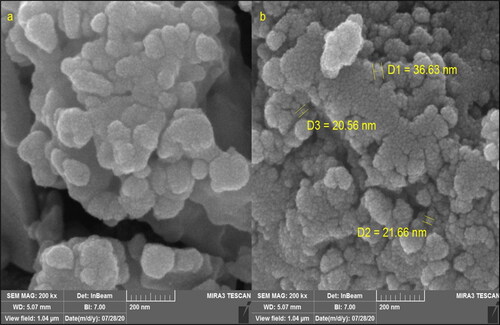 Figure 2. FE-SEM images of NiNPs.