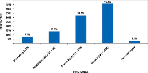 Figure 6: HISS ranges for patients sustaining firework injuries to the hand (n = 65).