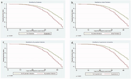 Figure 2. Forty-four year survival curves based on the Cox regression analysis of stroke with diabetes (a), atrial fibrillation (b), myocardial infarction (c) and baseline hypertension (d).