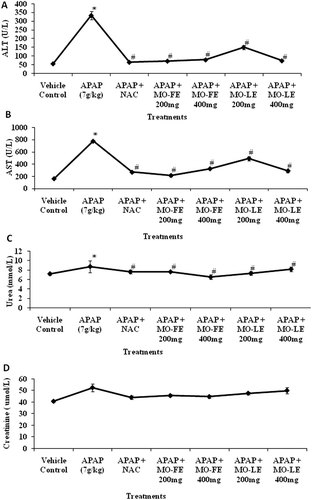 Figure 4.  Effect of MO flower and leaf extracts on liver and kidney function markers in APAP-induced hepatotoxicity in rats. Values are presented as the means ± SEM of six rats per group. Statistical significance between the groups (*p < 0.05; #p < 0.05) compared with vehicle control and APAP-treated groups, respectively.