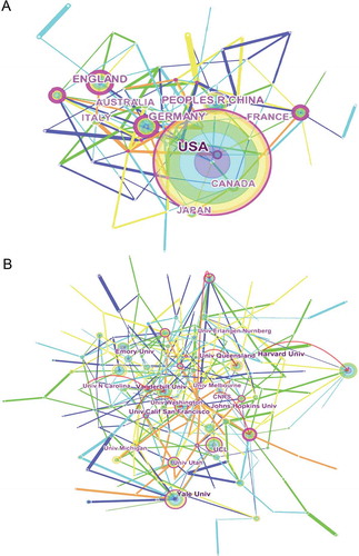 Figure 5. The analysis of countries and institutions. (a). Network of countries/territories engaged in sodium channel research; (b). Network of institutions engaged in sodium channel research.