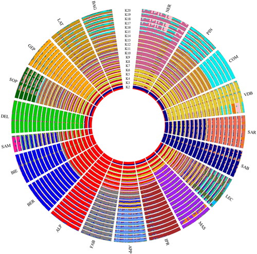Figure 7. Circle plot of the ancestral clusters (K = 2–20) inferred by the Admixture analysis on the genotype data of the 20 Italian sheep populations (ITA dataset). For full definition of the dataset, see Table 1.