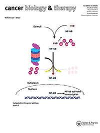 Cover image for Cancer Biology & Therapy, Volume 23, Issue 1, 2022