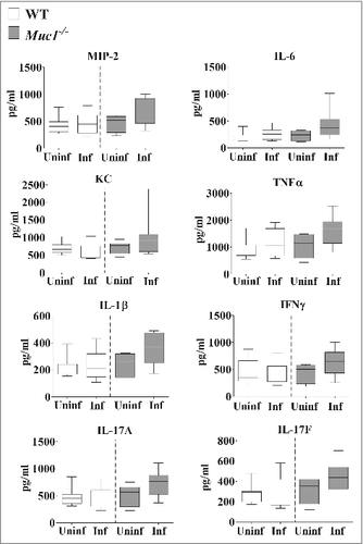 Figure 4. Pro-inflammatory cytokine profile of the nasopharynx. Cytokine levels from nasopharyngeal homogenates of Wildtype (WT) and Muc1−/ mice (n = 7–8) infected with S. pneumoniae D39 strains for 16 hours were measured by ELISA. Graphs present the median (horizontal bar), interquartile range (box) and 10th and 90th percentiles (error bars). Uninf, uninfected; Inf, infected. Data analyzed using Student's t-test