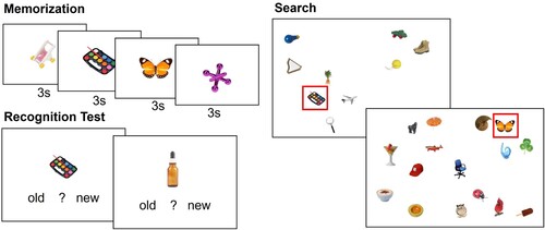 Figure 1. Illustration of the hybrid search task. Participants were presented with each target object for three seconds in the memorization phase. Their memory for the targets was tested in a recognition test with 50% old and 50% new objects. During the subsequent visual search task, each display included one of the target items and participants had to locate this target as quickly as possible.