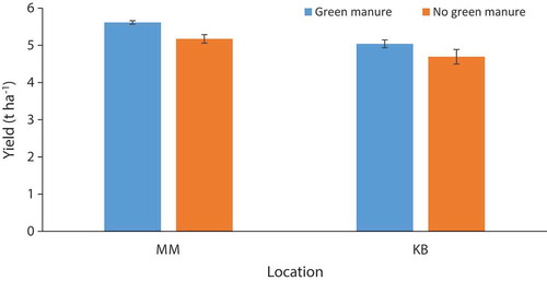 Figure 5. Effects of green manuring/no green manuring on rice yield (mean ± standard error) in 2015 in two different sites: Mahadevstan Mandan (MM) and Kalchhebesi (KB).