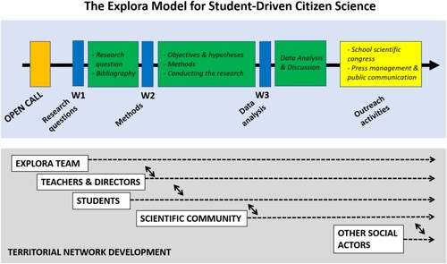 Figure 2. EXPLORA citizen science program design. Upper panel, main steps during the program. Scientific advice is provided in workshops to support different stages of the research process, followed by periods of actual research conducted by academies. At the end of the program academies present their results in outreach activities. The lower panel shows the evolution of a territorial network that builds up as the program unfolds.