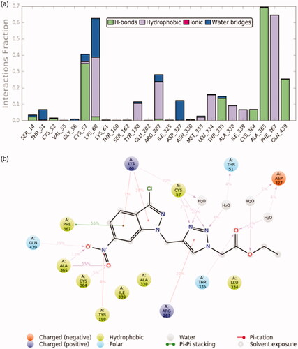 Figure 11. (a) TryR-13 contacts during 50 ns simulation (b) a schematic representation of the interaction between 13 and the TryR residues.