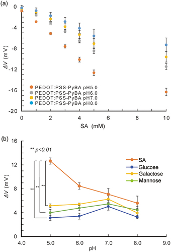 Figure 3. pH-Dependent selective binding of SA with PyBA on PEDOT:PSS-PyBA. (a) potential changes of PEDOT:PSS-PyBA electrodes at varying concentrations of SA from 1 to 10 mM at pH 5.0–8.0 at 25°C; mean ± SD (n = 5). (b) potential changes of PEDOT:PSS-PyBA electrodes in 5 mM SA, glucose, galactose, and mannose at pH 5.0–8.0 at 25°C. Mean ± SD (n = 5), **p < 0.01.