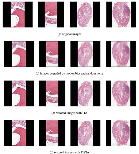 Figure 3. Test images and their restorations via ITA and FISTA l1-regularizer. (a) original images. (b) images degraded by motion blur and random noise. (c) restored images with ITA and (d) restored images with FISTA.