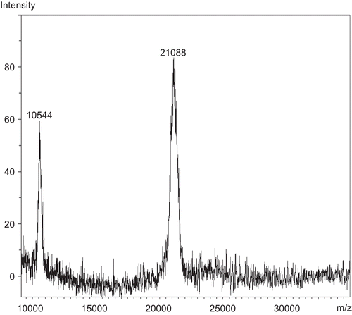 Figure 3.  MALDI-ToF mass spectrum of Gj fraction from Superdex 200 gel filtration.