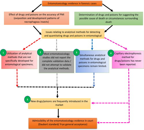 Figure 1. Five loopholes (numbers in green circles) in the analysis of entomotoxicological specimens identified in the body of literature. The dotted lines represent the interrelatedness of the loopholes in the forensic framework.