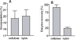Figure 3. (A) Effect of filter composition on AChE encapsulation percentage: encapsulated enzymatic activity/total activity. (B) Enzyme recovery percentage: Total enzymatic activity after extrusion/total enzymatic activity. The filter used: Cellulose Acetate (first column) and Nylon (second column).