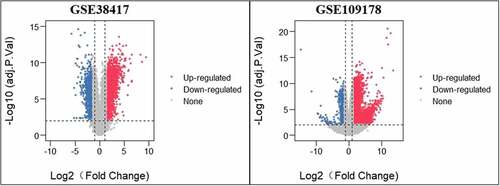 Figure 1. Volcano plots of DEGs from GSE38417 and GSE109178