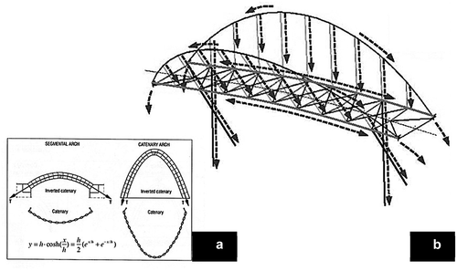 Figure 11. Conceptualization of the Bamboo Bridge at Bang Khlang by KMITL and RCA students. (a) Distributions of loads in the funicular geometry of a catenary arch. (b). A preliminary illustration of 3-Dimensional force distributions in the bridge.Source: Courtesy of Auroville Earth Institute, 2019.Source: The authors, 2019