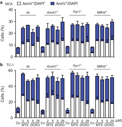 Figure 2. Wild type (WT), Annexin A1 (AnxA1−/-), Formyl peptide receptor 1 (Fpr1−/-) and mitochondrial methionyl-tRNA formyltransferase (Mtfmt−/-) deficient murine MCA205 fibrosarcome (a) and non small cell lung cancer TC-1 (b) cells were left untreated (Co) or treated with mitoxantrone (MTX) or doxorubicin (DOXO), at the indicated doses, for 18 h, followed by the cytofluorometric assessment of cell death parameters upon co-staining with fluorescein isothiocyanate (FITC-AnnexinV) and the vital dye 4ʹ,6-diamidino-2-phenylindole (DAPI).