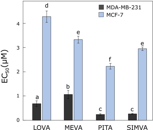 Figure 1 Activity of statins on cell viability. The EC50 values of lovastatin, mevastatin, pitavastatin and simvastatin after 72 hours in breast cancer MDA-MB-231 and MCF-7 cell lines. Bars marked with different letters indicate statistically significant differences (p < 0.05) within the same category.