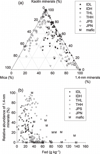 Figure 3  Mineralogical composition of the soils. (a) Relative abundances of mica, kaolin and expandable 1.4 nm minerals in clay fraction. (b) Relative abundance of expandable 1.4 nm minerals in clay fraction and DCB-extractable Fe of soils.