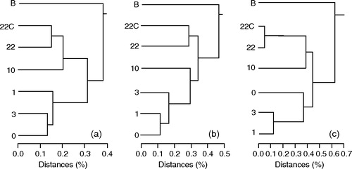 Figure 4.  Dendrograms calculated from the TGGE band profiles of one rat from group C, group 5M, or group 10M. For details see legend to Figure 3.