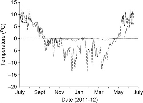 Fig. 5 Soil temperatures (1 cm depth) in the cowshed soils (solid line) and at the bottom of the bird cliffs in Barentsburg approximately 500 m to the north of the cowsheds (broken line). The dotted line is the 0°C reference line.