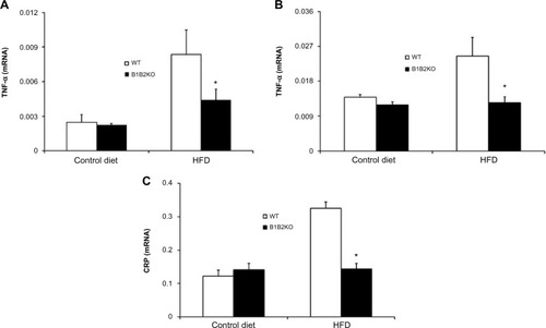 Figure 5 Inflammatory cytokines are downregulated in tissues of B1B2KO mice.