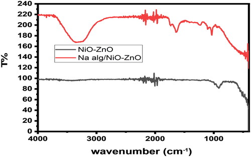 Figure 3. An FTIR spectrum depicts the absorption bands for NiO-ZnO (in grey) and Na Alg/NiO-ZnO nanocomposite (in red).