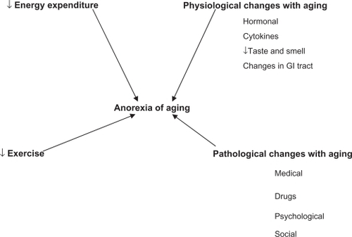 Figure 1 A depiction of the “anorexia of aging”.