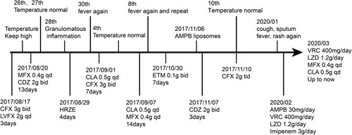 Figure 4 Treatment and manifestation timeline.
