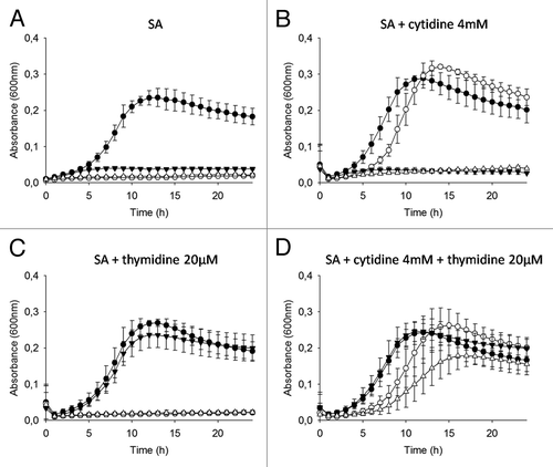 Figure 1. Growth curves of the L. lactis variants in presence/absence of cytidine and thymidine. Strains L. lactisMG1363 (closed circles), MG1363 ΔpyrG (P23:SEC-LLO) (open circles), MG1363 ΔthyA (closed triangles), and MG1363 ΔthyAΔpyrG (P23:SEC-LLO) (open triangles) were grown in broth (A) SA, (B) SA + cytidine 4mM, (C) SA + thymidine 20µM, or (D) SA + cytidine 4mM + thymidine 20 µM. The results are expressed as the mean ± SD (n = 3).