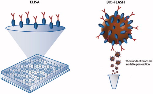 Figure 2. Illustration of the high surface capacity of paramagnetic beads in comparison to conventional ELISA. Paramagnetic beads provide a significantly higher surface area compared to ELISA plates and are able to bind more antigen or antibody which often results in high analytical sensitivity and a broad analytical measuring range.